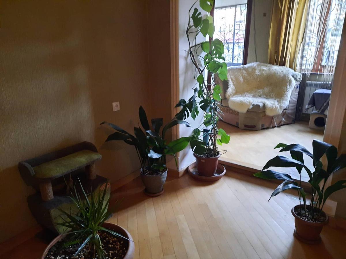 Tbilisi Philharmonia Apartment Kültér fotó